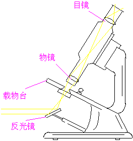 放大鏡基礎知識