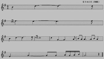 線(xiàn)譜,基礎知識,入門(mén),曲胡五