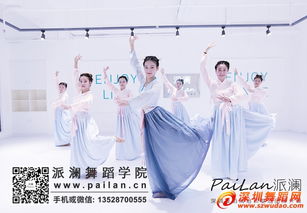 基礎(chǔ)知識,鮮族舞