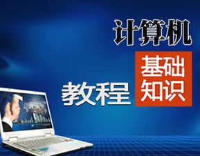 初中電腦基礎知識教程軟件