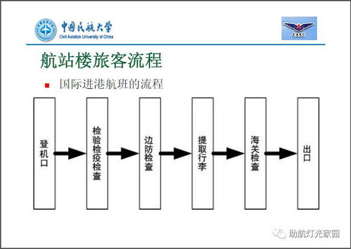 樁基礎知識培訓