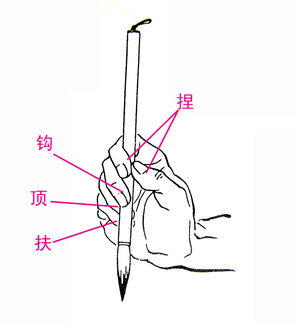 毛筆書(shū)法基礎知識微盤(pán)