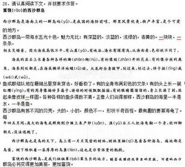 小學(xué)教師資格證基礎知識的作文