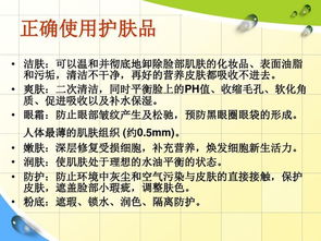 皮膚基礎知識大全